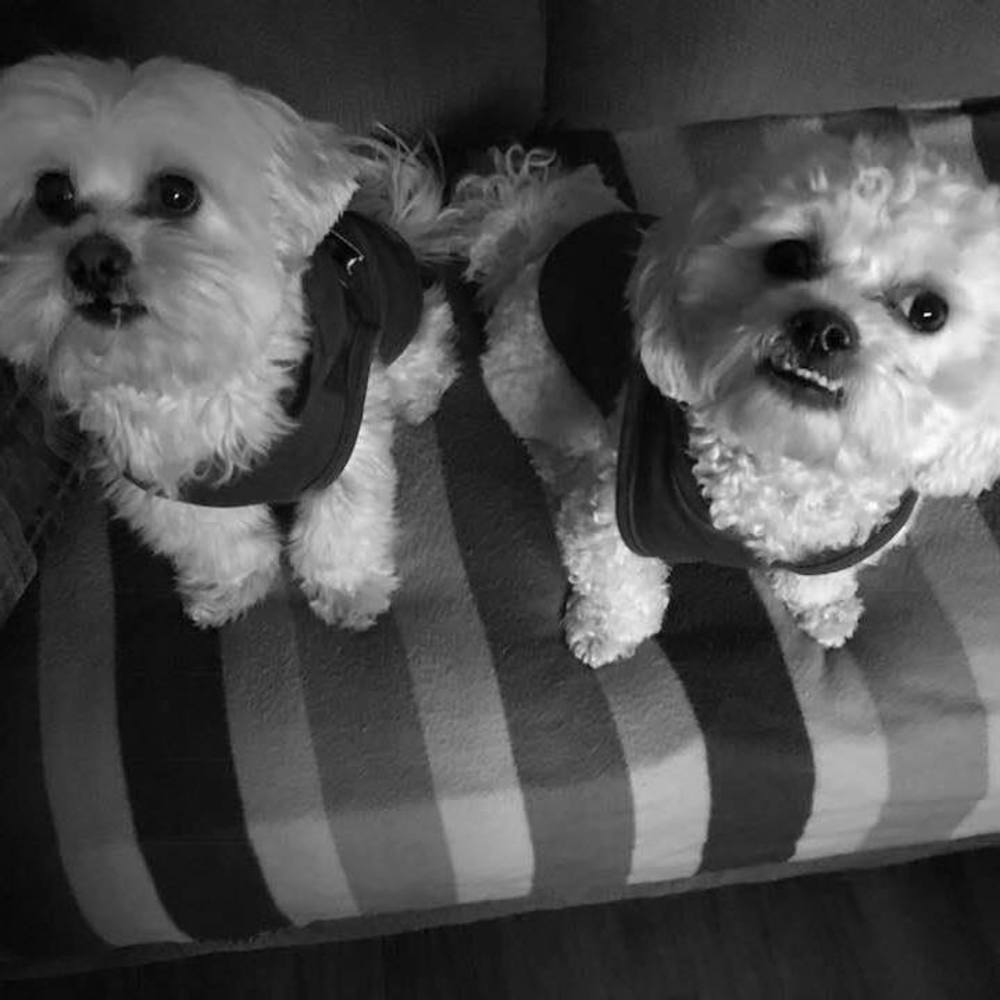 Meet your Posher, Janice